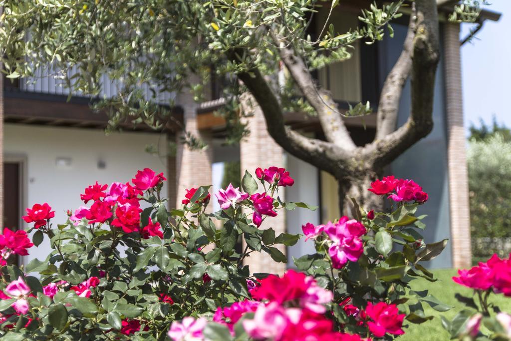 Hotel Relais Agli Olivi ลาซีเซ ภายนอก รูปภาพ